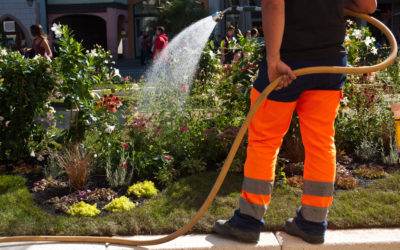 la ville recrute - jardinnier municipal entrain d'arroser dans un jardin public